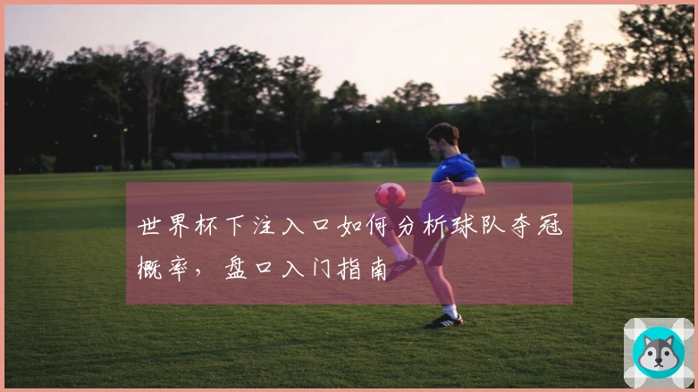 世界杯下注入口如何分析球队夺冠概率，盘口入门指南